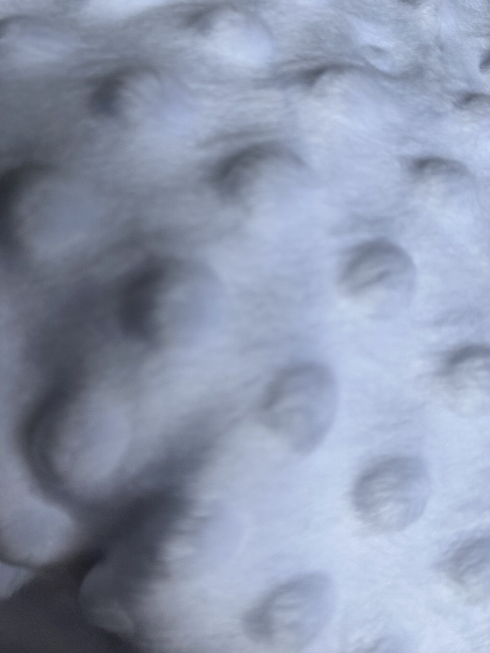 Doudou lapin – Image 18